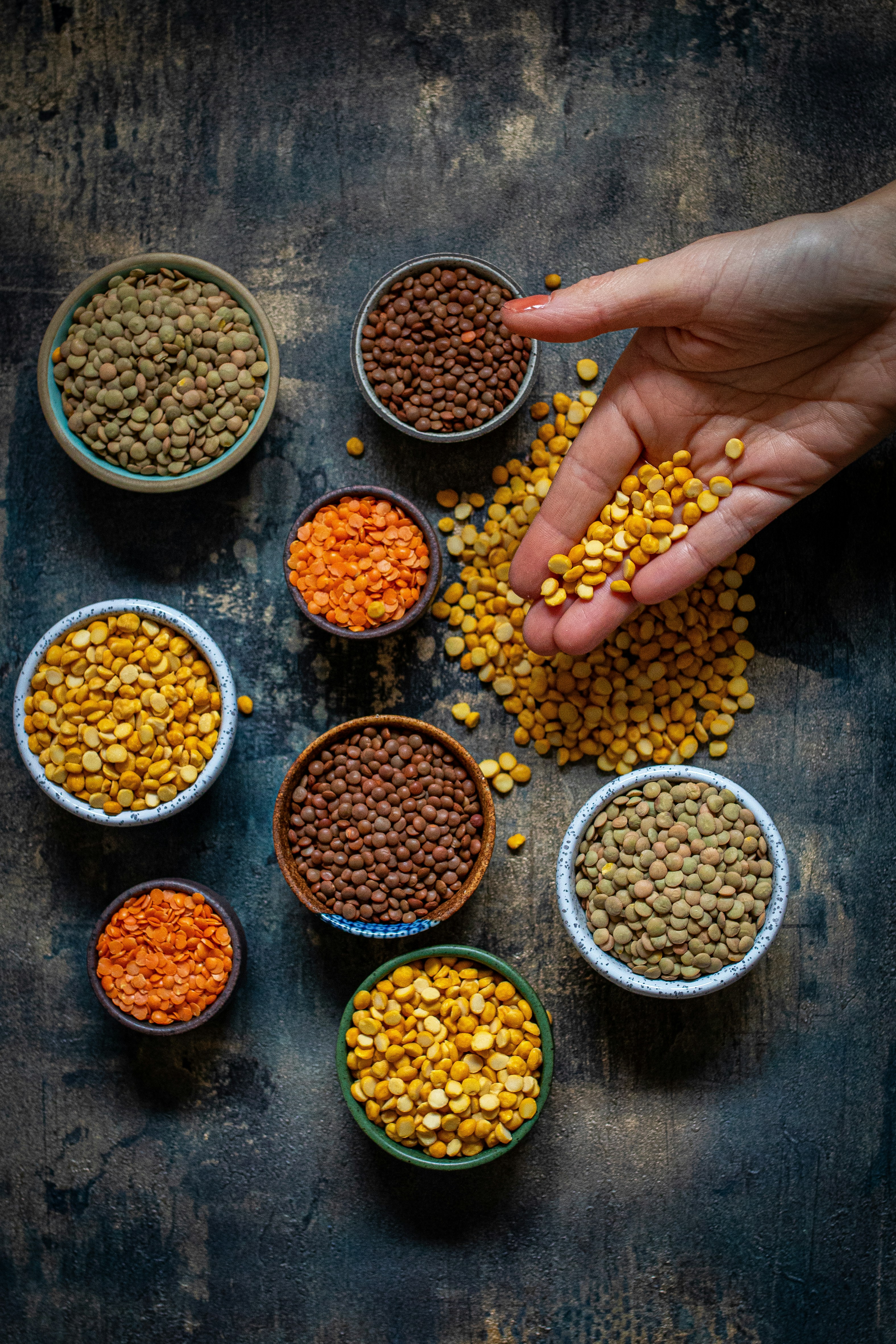 පරිප්පු වර්ග